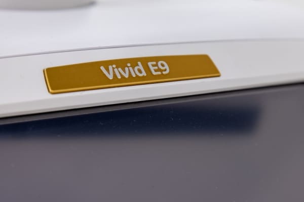 GE Vivid E9 Logo Close-up