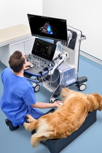Mindray Vetus 9 scanning dog